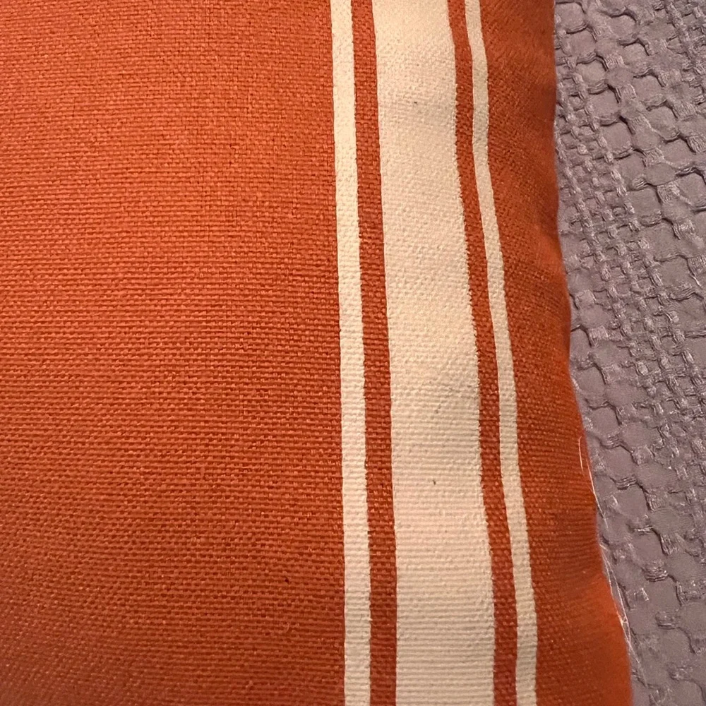 Hobby Lobby Orange Fall Pillow #9B